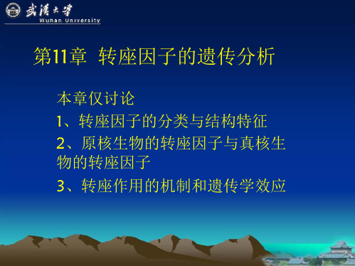 武汉大学遗传学第11章转座因子的遗传分析