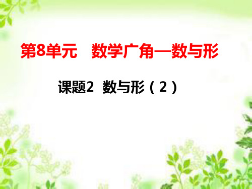 六年级上册数学课件-8.2数与形人教新课标共10张PPT