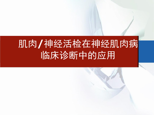 神经肌肉活检简介