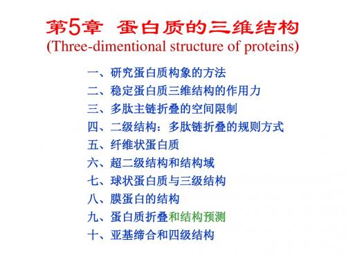 生物化学第5章蛋白质的三维结构