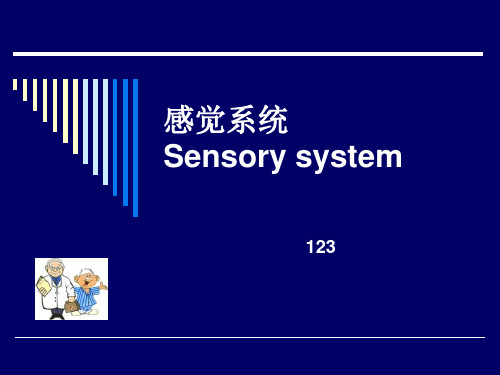 人卫九版神经病学2-感觉系统6PPT课件