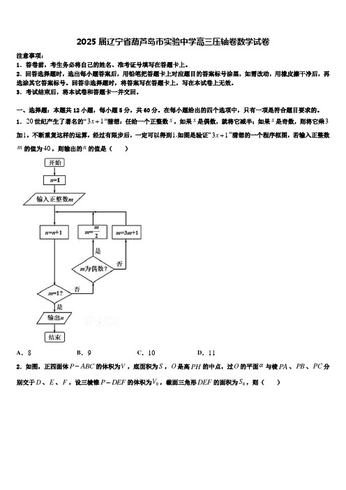 2025届辽宁省葫芦岛市实验中学高三压轴卷数学试卷含解析