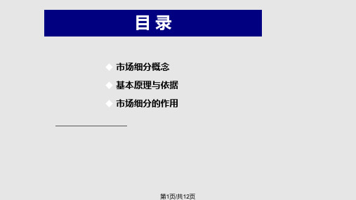 基础知识市场细分PPT课件