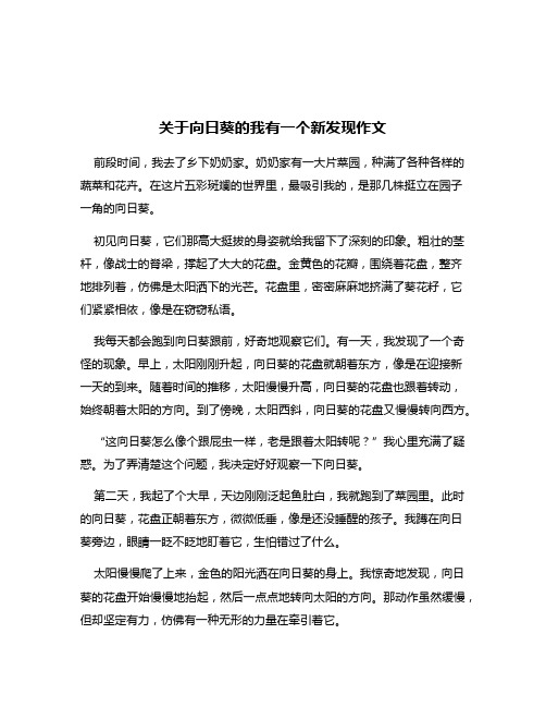 关于向日葵的我有一个新发现作文