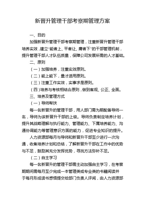 新晋升管理干部考察期管理方案