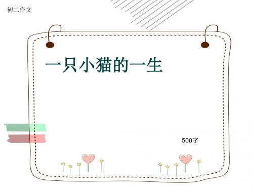 初二作文《一只小猫的一生》500字(共9页PPT)