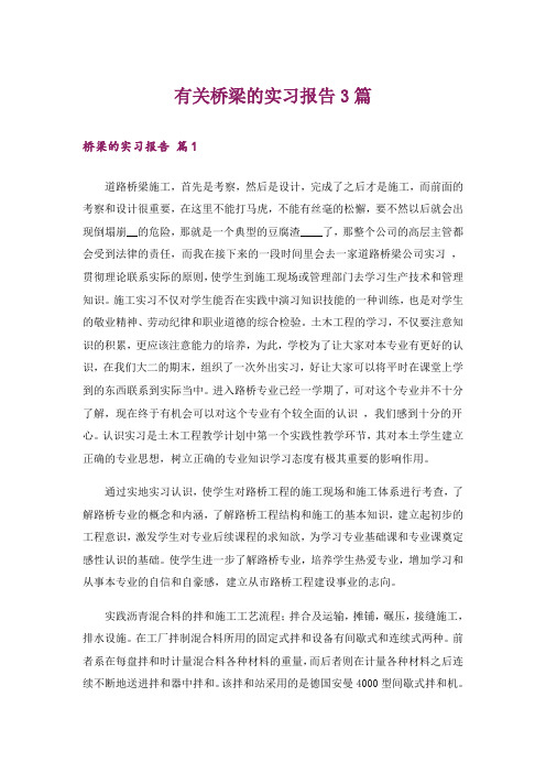 有关桥梁的实习报告3篇