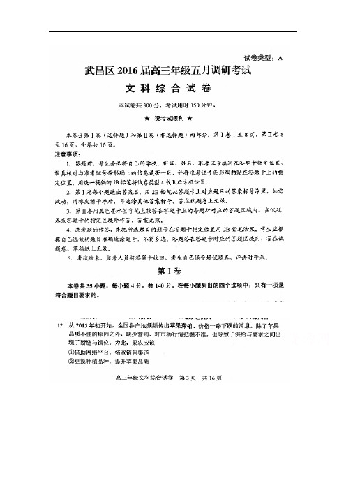 湖北省武汉市武昌区2016届高三5月调考文综政治试题 扫