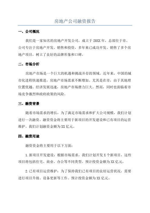 房地产公司融资报告