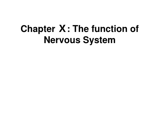 nervous system