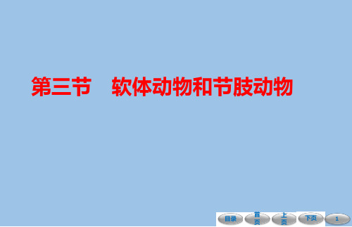 5.1.3 软体动物和节肢动物-课件-2021-2022学年人教版八年级生物上册