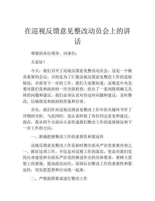 在巡视反馈意见整改动员会上的讲话