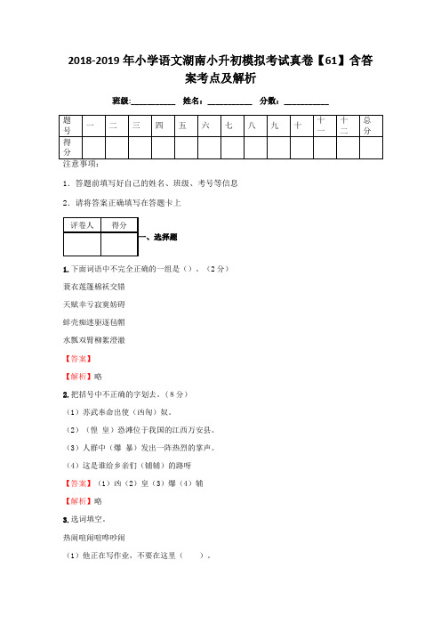 小学语文湖南小升初模拟考试真卷含答案考点及解析