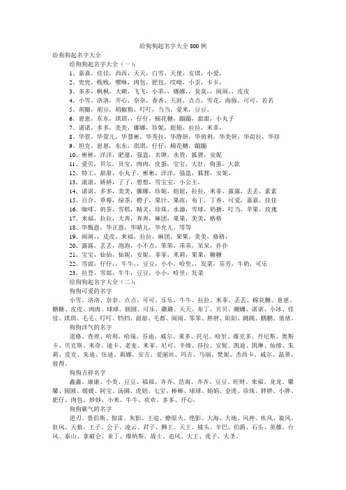 给狗狗起名字大全800例