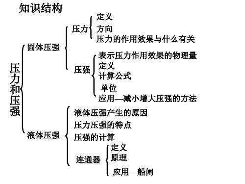 九年级物理压力压强1[人教版](PPT)3-1