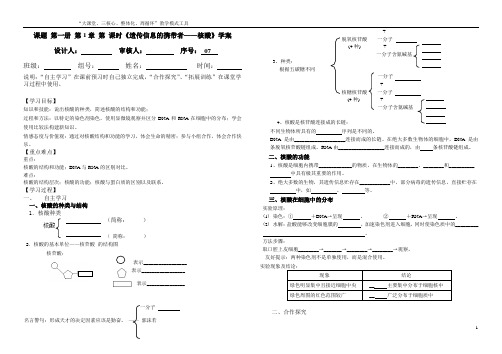 第三节遗传信息的携带者——核酸学案