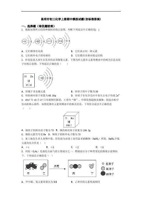 昆明市初三初三化学上册期中模拟试题(含标准答案)