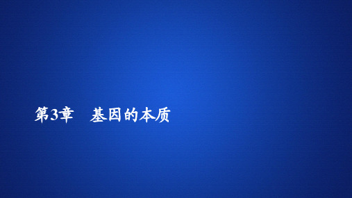 2019-2020学年 人教版 必修2 基因的本质  课件  (62张)