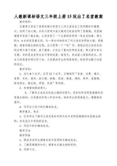 人教新课标语文三年级上册15玩出了名堂教案