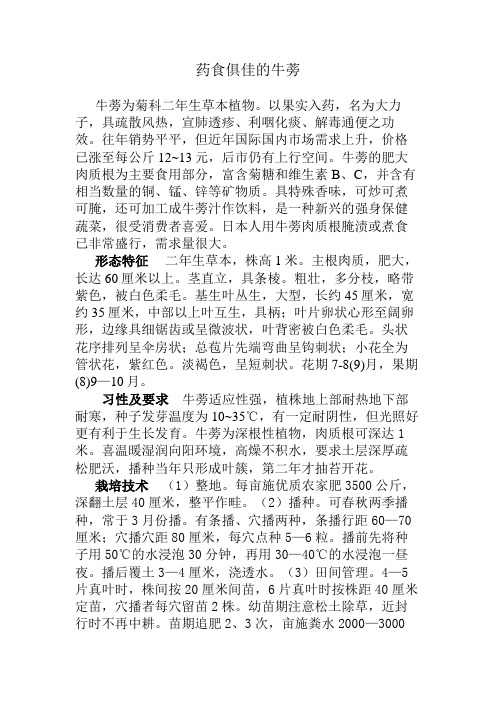 药食俱佳的牛蒡