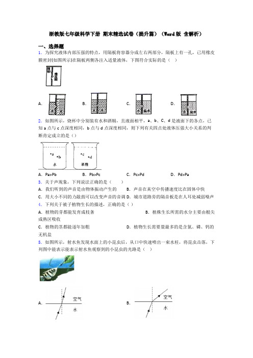 浙教版七年级科学下册 期末精选试卷(提升篇)(Word版 含解析)