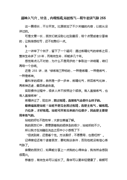 凝神入气穴，针灸，内观炼精,站桩炼气—阳午君谈气脉255