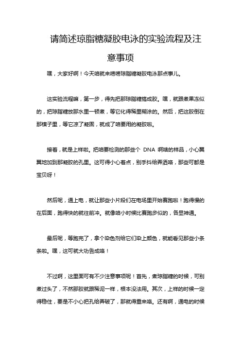 请简述琼脂糖凝胶电泳的实验流程及注意事项