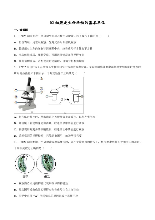 中考生物复习--专题02 细胞是生命活动的基本单位(原卷版+解析版)