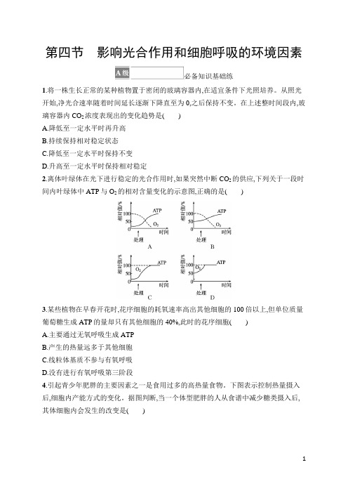 2022-2023学年 苏教版  必修一  影响光合作用和细胞呼吸的环境因素 作业