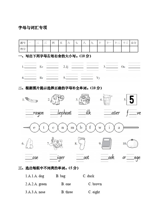 人教(PEP)版英语三年级上册期末 字母与词汇专项   测试卷【含答案】