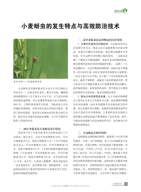 小麦蚜虫的发生特点与高效防治技术