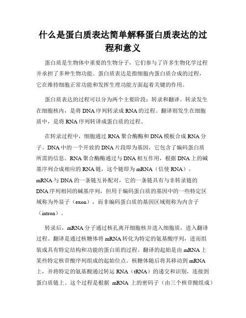 什么是蛋白质表达简单解释蛋白质表达的过程和意义