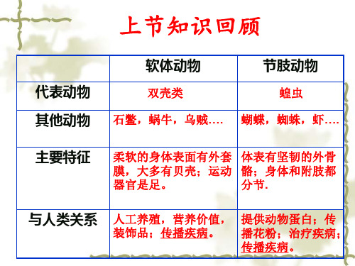 新人教版八年级生物上册：5.1.4《鱼》ppt课件