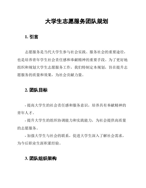 大学生志愿服务团队规划