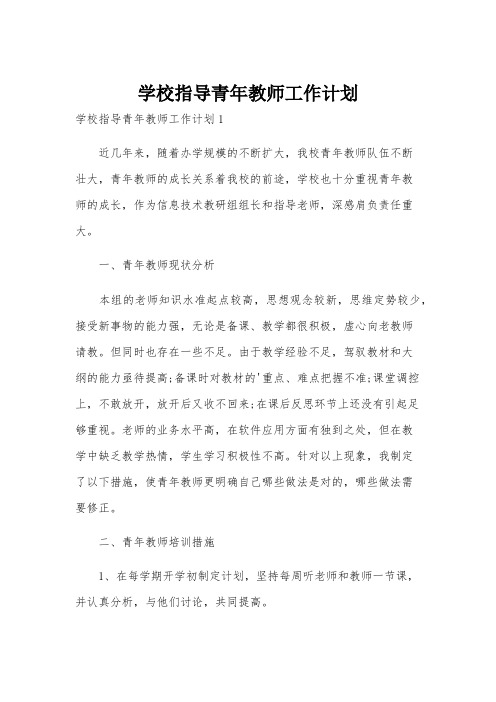 学校指导青年教师工作计划