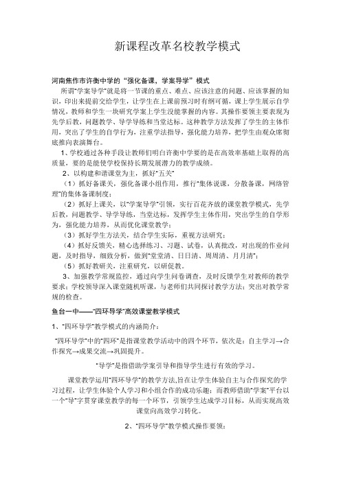 新课程改革名校教学模式12