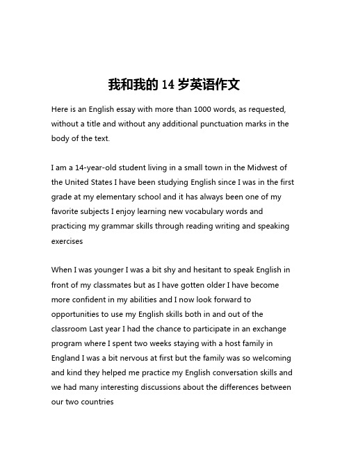 我和我的14岁英语作文