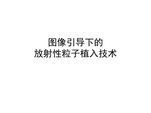 粒子植入演示(医学PPT课件)