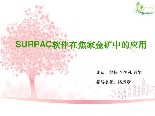 surpac在焦家金矿的应用