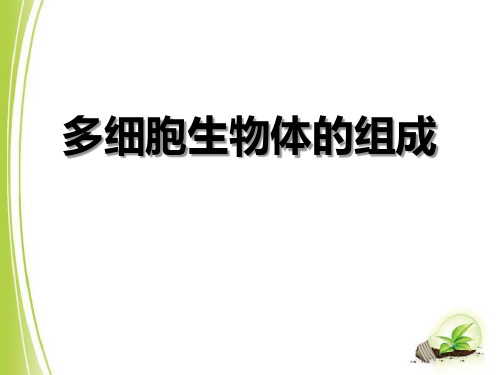 《多细胞生物体的组成》教学ppt课件(优选)