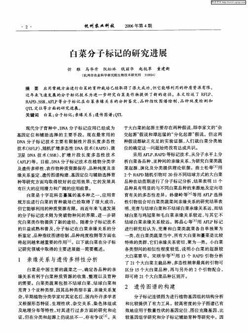 白菜分子标记的研究进展