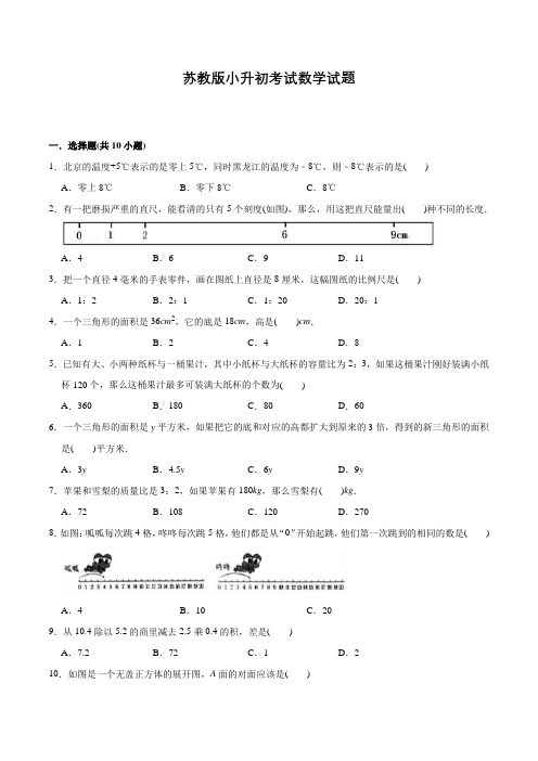 苏教版六年级下学期数学小升初考试卷含答案解析