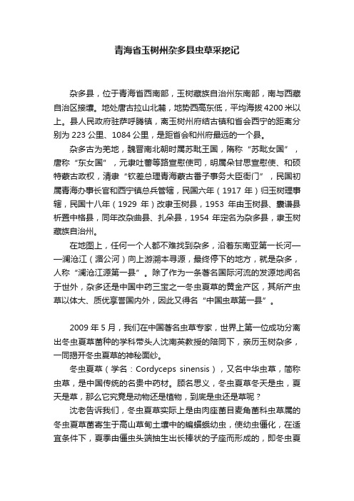 青海省玉树州杂多县虫草采挖记