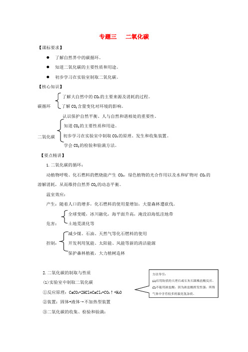 中考化学全程复习方略 二氧化碳