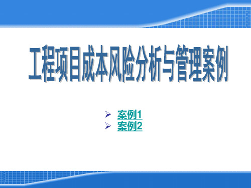 工程项目风险分析与管理案例