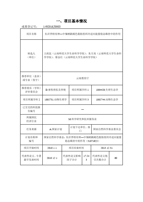 项目基本情况