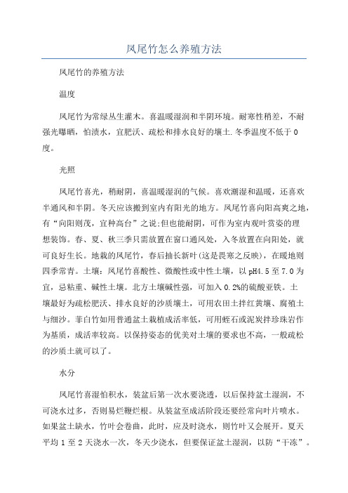 凤尾竹怎么养殖方法