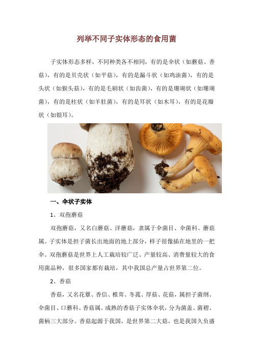 列举不同子实体形态的食用菌