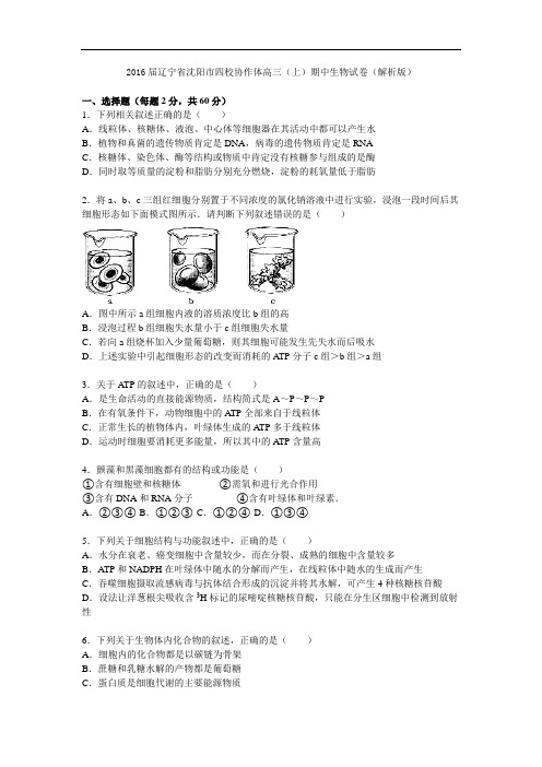 2016届辽宁省沈阳市四校协作体高三(上)期中生物试卷(解析版)