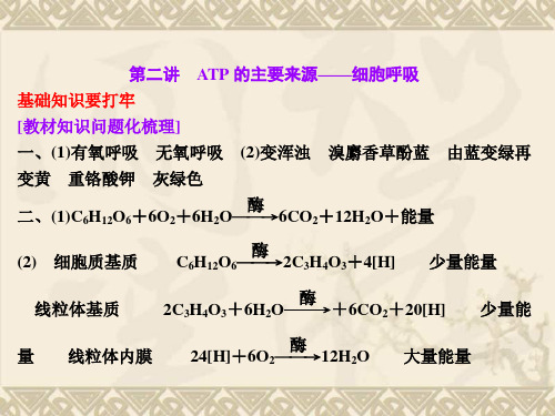 【三维设计】高考生物一轮复习 第三单元 第二讲 ATP的主要来源 细胞呼吸课件 新人教版必修1